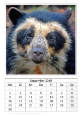 September_Brillenbär.pdf